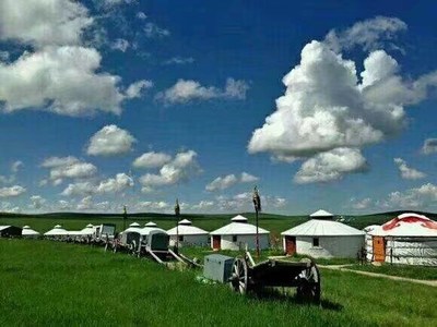 呼伦贝尔草原旅游包车 自助游包车