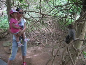 三亚五天包车自助游