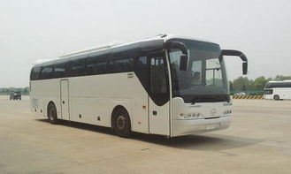 沈阳皇顶山暑期旅游包车哪有做 张氏叫车提高服务质量