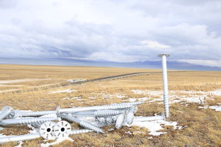 北疆寻秋 12天包车自助游