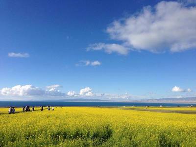 张掖旅游包车电话-张掖旅游汽车代驾