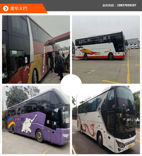 包车 晨风包车车况好 包车费用