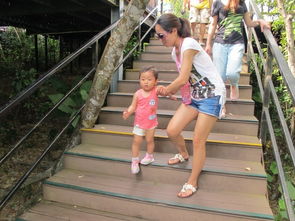 三亚五天包车自助游