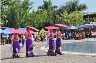 最美西双版纳深度自由行攻略 完整版 , 西双版纳自助游包车攻略