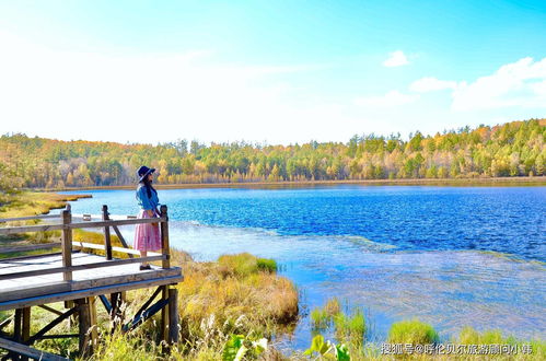 呼伦贝尔大草原是包车好还是自驾好 内蒙古大草原旅游攻略 自由行
