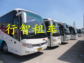 行智租车 商务用车 旅游用车 长期租车 京牌别克gl8