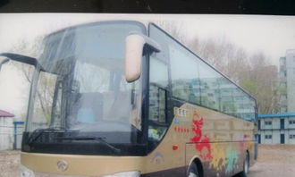 旅游包车 通勤用车 大中小型团体用车