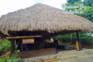 全是干货 斯里兰卡包车双人十天自助游记 英文