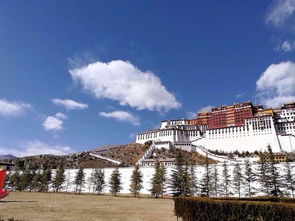 一个人的春节年假包车游珠峰 40冰川