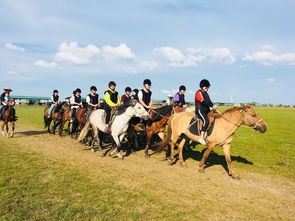 呼伦贝尔旅游攻略之 包车自由行游记美图