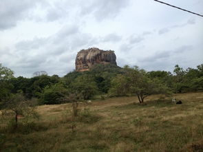 七月斯里兰卡 包车自助游