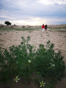 梦幻伊犁 风情南疆15天疆包车行全记录 新疆包车旅行攻略篇,乌鲁木齐自助游攻略