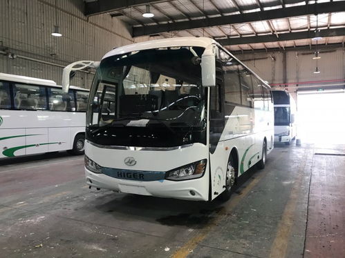 2024年新疆旅游自由行租车游 包车 价格明细