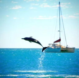 我的西澳十天包车自助游体验