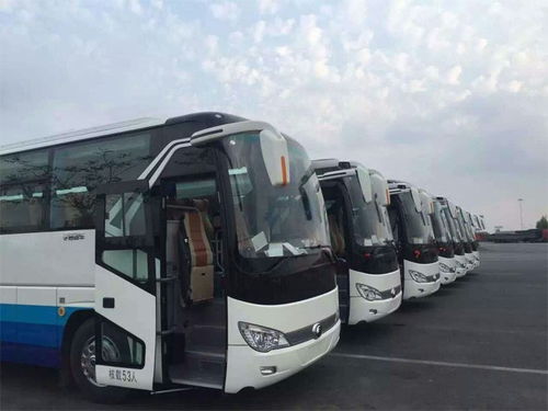 北京通勤汽车租赁公司 北京通勤汽车租赁电话