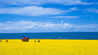 青海旅游包车自由行