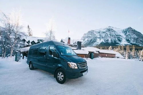 加拿大包车 租车自由行,隐患知多少