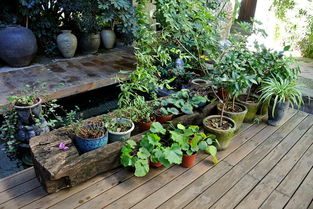 大理环洱海 龙龛 喜洲 双廊 骑行 包车4天自助游