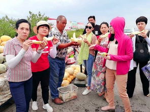 新疆之美.无论以何种方式呈现.都从未让人失望,新疆自助游攻略,新疆旅游攻略,乌鲁木齐旅游攻略