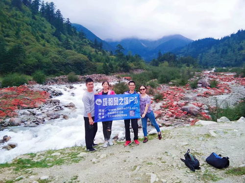 【西藏自由行,拼车,包车结伴自助游】