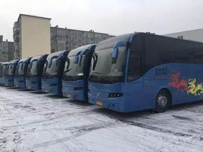 2018开年龙运旅游直通车、VIP小包车,最新VIP线路介绍