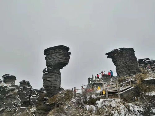 贵州包车自由行攻略