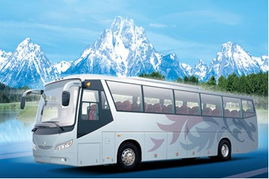 苏州出发二日游 杭州旅行社旅游团最新报价及行程信息,杭州中友旅行社