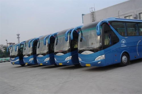 河南租车报价 厂家