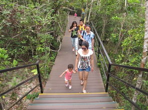 三亚五天包车自助游