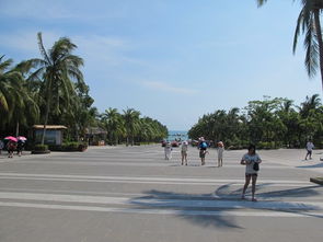 三亚五天包车自助游