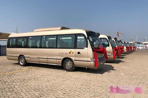 长岛新增10辆县内旅游包车 满足游客个性化出行需求