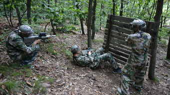 大连金石滩包车一日游 大连金石滩包车服务 自助游,多种车型任选