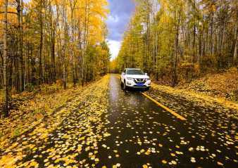 呼伦贝尔旅游包车自助游 王姐驾车陪您一起看草原