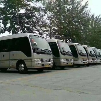 惠东县旅游包车服务 便捷自助，畅游无忧