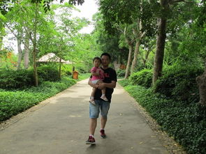 三亚五天包车自助游攻略 自由行包车全指南