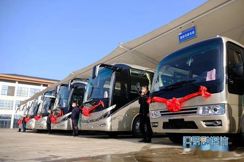 汨罗市客运公司全面复工复产,这几点需注意