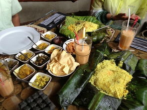 七月斯里兰卡 包车自助游