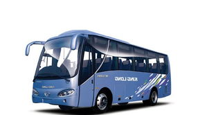 旅行社租车与自助旅游包车 灵活出行的明智之选